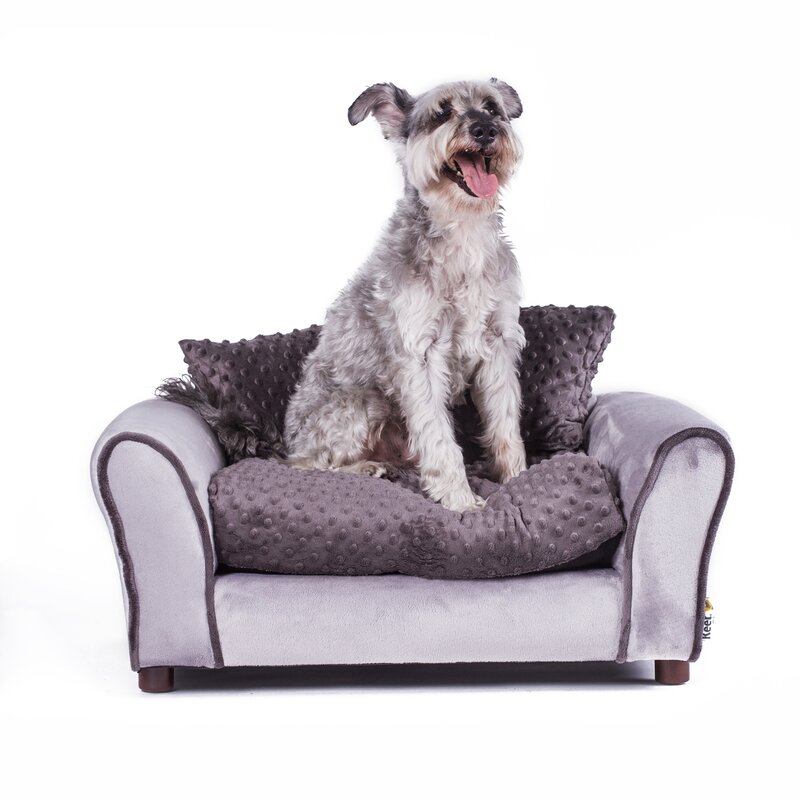 Keet shops dog sofa